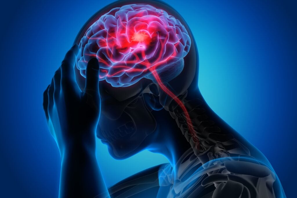 Photo of Digital Brain