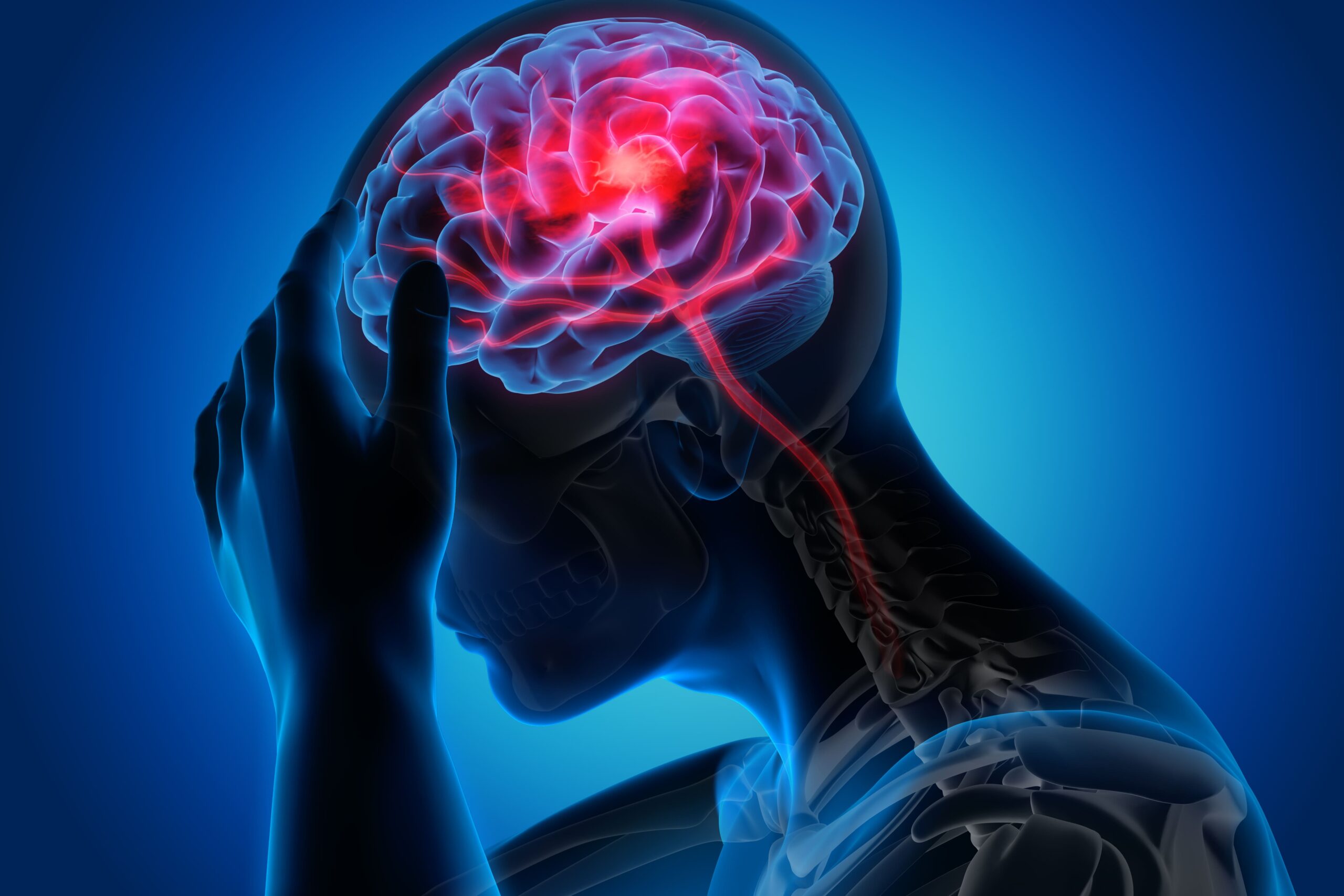 Photo of Digital Brain